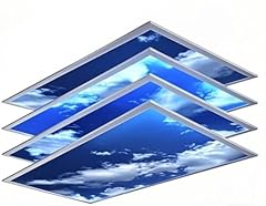 2x4 led sky for sale  Delivered anywhere in USA 