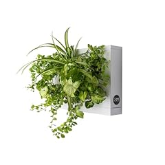 Ortis green hang.oasi.home for sale  Delivered anywhere in USA 