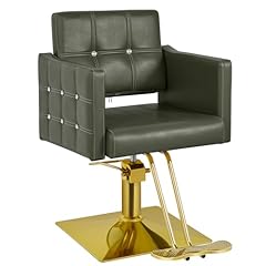 Dangvivi hair chair for sale  Delivered anywhere in USA 