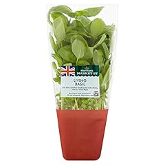 Morrisons living basil for sale  Delivered anywhere in UK