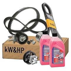 Kit distribuzione pompa usato  Spedito ovunque in Italia 