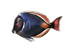 Bovano wall sculpture for sale  Delivered anywhere in USA 