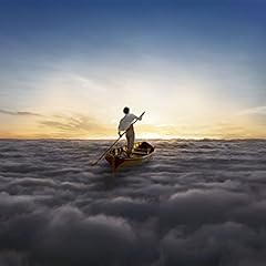 Endless river for sale  Delivered anywhere in USA 