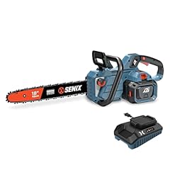 Senix 60v electric for sale  Delivered anywhere in USA 