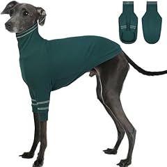 Ouobob greyhound dog for sale  Delivered anywhere in USA 