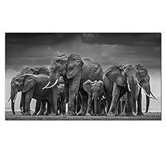 Elephant canvas prints for sale  Delivered anywhere in USA 