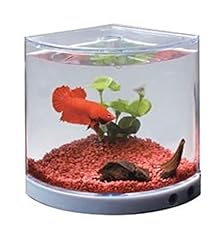 Aquarium t101 minitank d'occasion  Livré partout en France