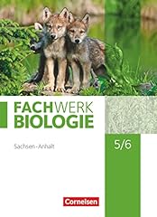Fachwerk biologie sachsen gebraucht kaufen  Wird an jeden Ort in Deutschland