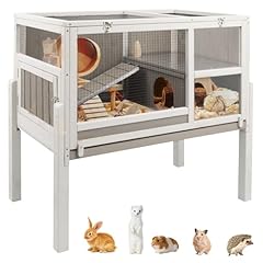 Ketive guinea pig for sale  Delivered anywhere in USA 