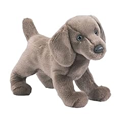 Douglas cassie weimaraner for sale  Delivered anywhere in USA 