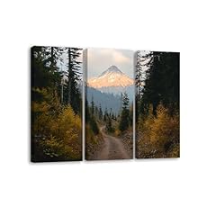 Panels canvas wall for sale  Delivered anywhere in USA 