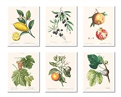 Vintage botanical prints for sale  Delivered anywhere in USA 