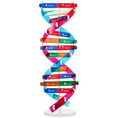 Garneck dna doppelhelix gebraucht kaufen  Wird an jeden Ort in Deutschland