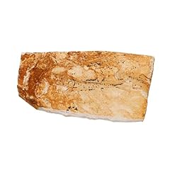 Magiclulu fossile poisson d'occasion  Livré partout en France