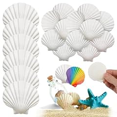 Pièces coquilles saint d'occasion  Livré partout en France