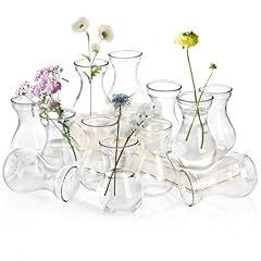 Zoofox set glass for sale  Delivered anywhere in USA 