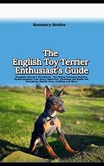 English toy terrier for sale  Delivered anywhere in UK