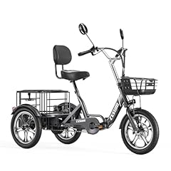 Cysum triciclo elettrico usato  Spedito ovunque in Italia 