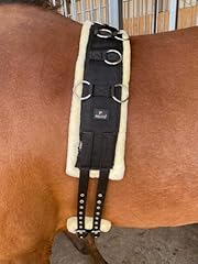 Preto horse training for sale  Delivered anywhere in UK