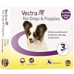 Vectra dogs puppies for sale  Delivered anywhere in USA 