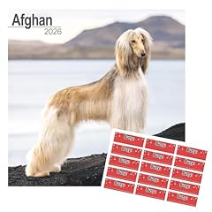 Afghan hound calendar for sale  Delivered anywhere in UK