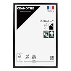 Ceanothe cadre photo d'occasion  Livré partout en France