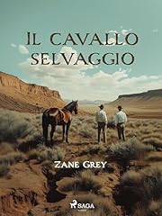 Cavallo selvaggio usato  Spedito ovunque in Italia 