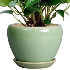 Ceramicfor inch plant for sale  Delivered anywhere in USA 