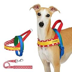 Vetreska moma dog for sale  Delivered anywhere in USA 