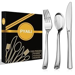 Pyaili 120 silbernes gebraucht kaufen  Wird an jeden Ort in Deutschland