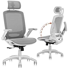 Gabrylly ergonomic office for sale  Delivered anywhere in USA 