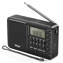 Pecsu portable radio for sale  Delivered anywhere in USA 