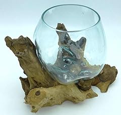Vase petit aquarium d'occasion  Livré partout en France