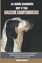 Guida completa per d'occasion  Livré partout en Belgiqu