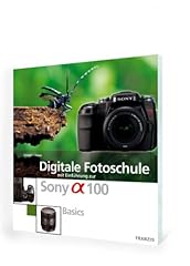 Digitale fotoschule mit usato  Spedito ovunque in Italia 
