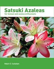 Satsuki azaleas bonsai for sale  Delivered anywhere in UK