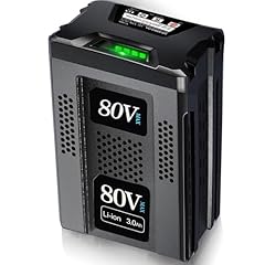 Emanjor 80v max for sale  Delivered anywhere in USA 
