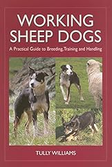 Working sheep dogs for sale  Delivered anywhere in UK