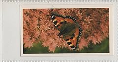 Sa1 small tortoiseshell for sale  Delivered anywhere in UK