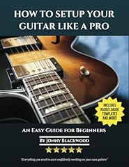 Setup guitar like for sale  Delivered anywhere in USA 