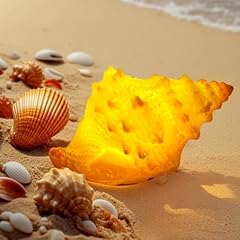 Nurluce conch shell for sale  Delivered anywhere in USA 