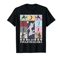 Volleyball era retro for sale  Delivered anywhere in USA 