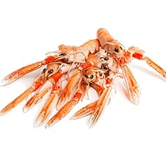 Frozen whole scampi for sale  Delivered anywhere in UK