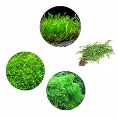 Premium aquatic moss for sale  Delivered anywhere in USA 