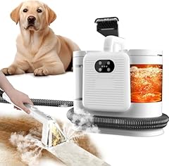 Steam carpet cleaner for sale  Delivered anywhere in USA 