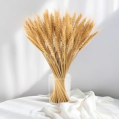 Sukh 100 stems for sale  Delivered anywhere in USA 
