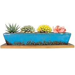 Artketty succulent pots for sale  Delivered anywhere in USA 