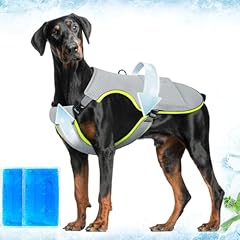 Mora pets dog for sale  Delivered anywhere in USA 