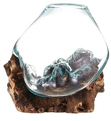 Teak wood terrarium for sale  Delivered anywhere in USA 