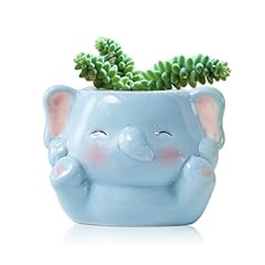 Diyomr cute animals for sale  Delivered anywhere in USA 